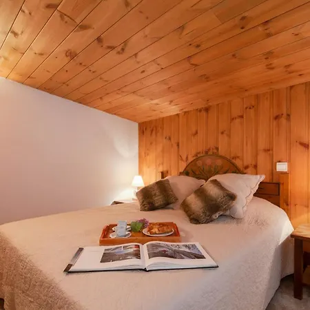 Sainte Foy L'argentiere Sleeps 5 T680780 아파트 *